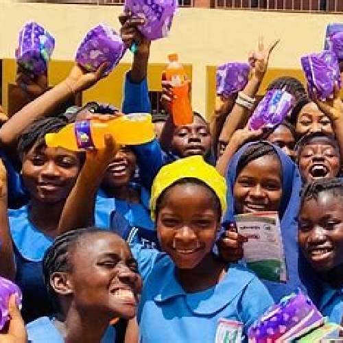 THE CRITICAL ROLE OF SANITATION AND PROPER DISPOSAL IN MENSTRUAL HYGIENE